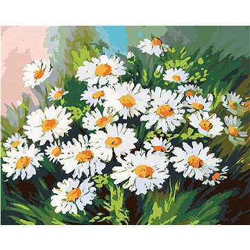 

Diamondi - KOPRETINY V TRÁVĚ, 40x50 cm, bez rámu a bez vypnutí plátna