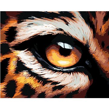 

Diamondi - LEOPARDÍ OKO, 40x50 cm, bez rámu a bez vypnutí plátna