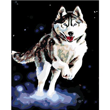 

Diamondi - HUSKY, 40x50 cm, vypnuté plátno na rám