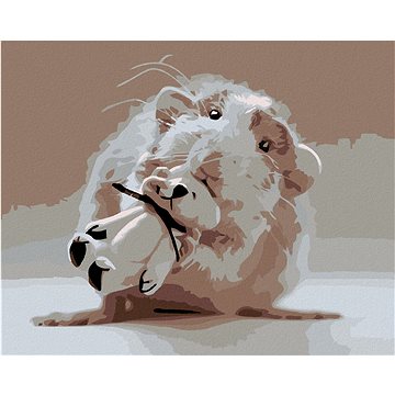 

Diamondi - MYŠKA S BÍLÝM MEDVÍDKEM, 40x50 cm, bez rámu a bez vypnutí plátna