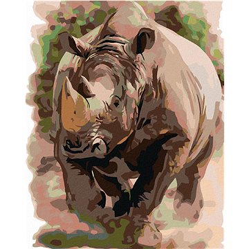 

Diamondi - NOSOROŽEC, 40x50 cm, bez rámu a bez vypnutí plátna