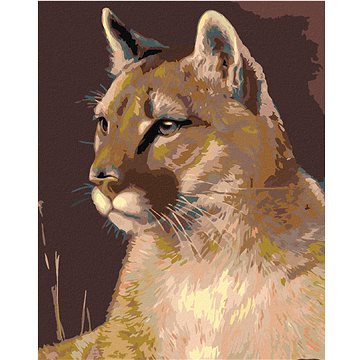 

Diamondi - Diamantové malování - PUMA, 40x50 cm, Vypnuté plátno na rám