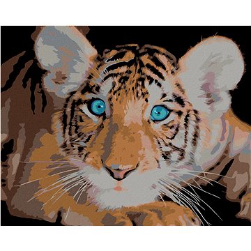 

Diamondi - Diamantové malování - TYGŘÍK MODROOČKO, 40x50 cm, Vypnuté plátno na rám