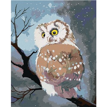 

Diamondi - ZIMNÍ SOVA, 40x50 cm, bez rámu a bez vypnutí plátna