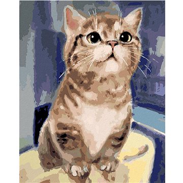 

Diamondi - ZVĚDAVÁ KOČKA, 40x50 cm, vypnuté plátno na rám