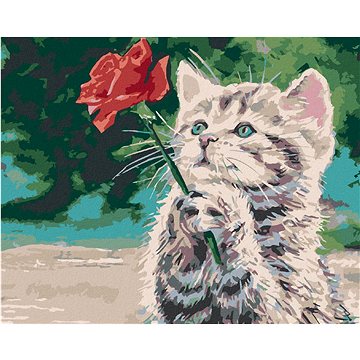 

Diamondi - KOTĚ A ČERVENÁ RŮŽE, 40x50 cm, vypnuté plátno na rám