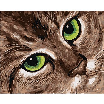 

Diamondi - KOČKA A ZELENÉ OČI, 40x50 cm, bez rámu a bez vypnutí plátna