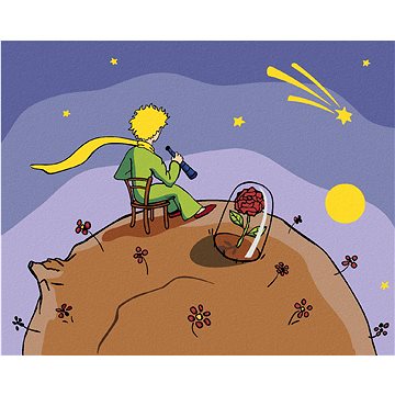 

Diamondi - MALÝ PRINC PŘI POHLEDU NA HVĚZDY, 40x50 cm, vypnuté plátno na rám