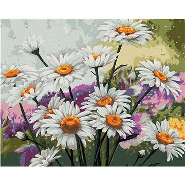 

Diamondi - Diamantové malování - HEŘMÁNEK NA LOUCE, 40x50 cm, bez rámu a bez vypnutí plátna