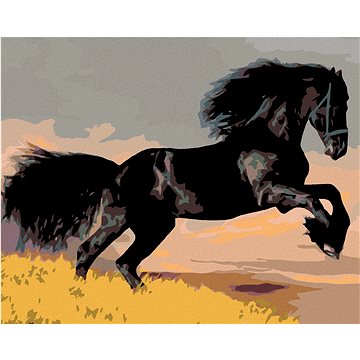 

Diamondi - ČERNÝ KŮŇ, 40x50 cm, bez rámu a bez vypnutí plátna