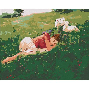 

Diamondi - SPÍCÍ ŽENA V TRÁVĚ A KŮZLATA, 40x50 cm, vypnuté plátno na rám