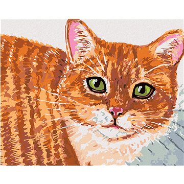 

Diamondi - BÉŽOVÁ KOČKA A ZELENÉ OČI, 40x50 cm, vypnuté plátno na rám