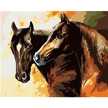 

Diamondi - HNĚDÍ MALOVÁNÍ KONĚ, 40x50 cm, bez rámu a bez vypnutí plátna
