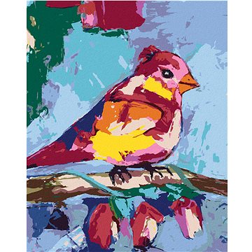 

Diamondi - BAREVNÝ PTÁČEK NA VĚTVI, 40x50 cm, bez rámu a bez vypnutí plátna