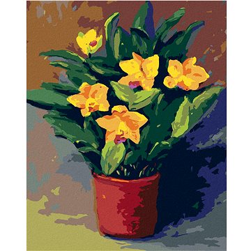 

Diamondi - NARCISY V KVĚTINÁČI, 40x50 cm, vypnuté plátno na rám