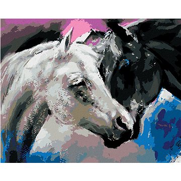 

Diamondi - ČERNÝ A BÍLÝ KŮŇ, 40x50 cm, bez rámu a bez vypnutí plátna