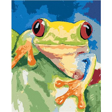

Diamondi - ŽÁBA SEDÍCÍ NA LISTU, 40x50 cm, bez rámu a bez vypnutí plátna