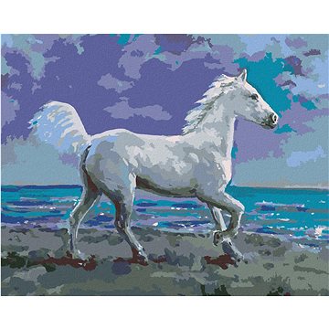 

Diamondi - BÍLÝ KŮŇ NA BŘEHU, 40x50 cm, vypnuté plátno na rám