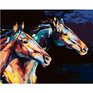 

Diamondi - DVA BAREVNÍ KONĚ V BĚHU, 40x50 cm, vypnuté plátno na rám