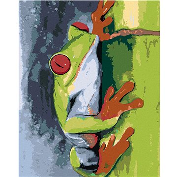 

Diamondi - ŽÁBA NA BAMBUSU, 40x50 cm, vypnuté plátno na rám