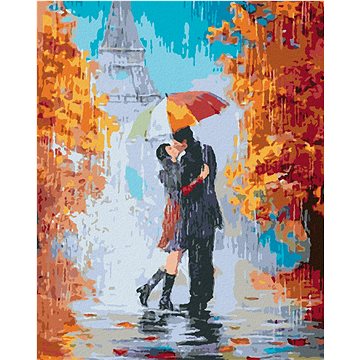 

Diamondi - PUSA V DEŠTI V PAŘÍŽI, 40x50 cm, vypnuté plátno na rám