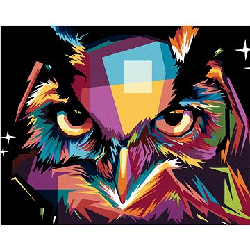 

Diamondi - PORTRÉT BAREVNÁ SOVA, 40x50 cm, bez rámu a bez vypnutí plátna