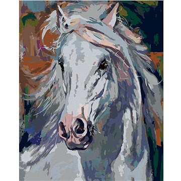 

Diamondi - BÍLÝ KŮŇ S ROZEVLÁTOU HŘÍVOU, 40x50 cm, vypnuté plátno na rám