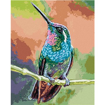 

Diamondi - KOLIBŘÍK NA VĚTVI, 40x50 cm, vypnuté plátno na rám