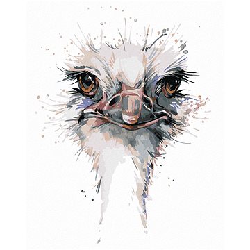 

Diamondi - PŠTROSÍ HLAVA, 40x50 cm, vypnuté plátno na rám