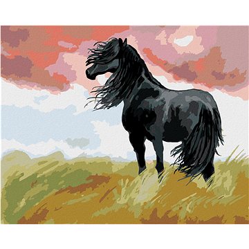 

Diamondi - Diamantové malování - ČERNÝ KŮŇ NA LOUCE, 40x50 cm, Vypnuté plátno na rám