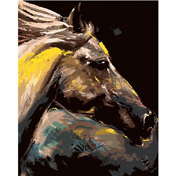 

Diamondi - PORTRÉT BAREVNÉHO KONĚ, 40x50 cm, vypnuté plátno na rám