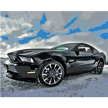 

Diamondi - SPORTOVNÍ ČERNÉ AUTO, 40x50 cm, vypnuté plátno na rám