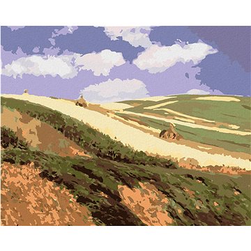 

Diamondi - POLE (PÁL SZINYEI MERSE), 40x50 cm, vypnuté plátno na rám
