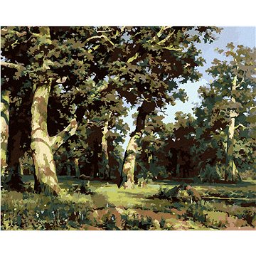 

Diamondi - DUBOVÝ HÁJ (IVAN SHISHKIN), 40x50 cm, bez rámu a bez vypnutí plátna