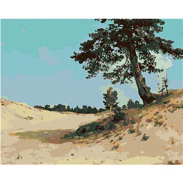 

Diamondi - BOROVICE NA PÍSKU (IVAN SHISHKIN), 40x50 cm, bez rámu a bez vypnutí plátna