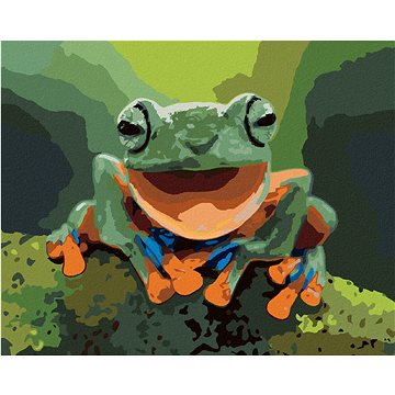 

Diamondi - SMĚJÍCÍ SE ŽÁBA, 40x50 cm, bez rámu a bez vypnutí plátna