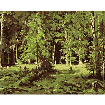 

Diamondi - LES (IVAN SHISHKIN), 40x50 cm, bez rámu a bez vypnutí plátna
