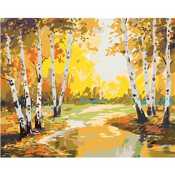 

Diamondi - BŘÍZY A POTŮČEK, 40x50 cm, bez rámu a bez vypnutí plátna