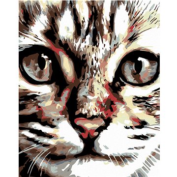 

Diamondi - MOUROVATÉ KOTĚ, 40x50 cm, bez rámu a bez vypnutí plátna