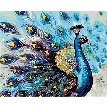 

Diamondi - PYŠNÝ PÁV, 40x50 cm, vypnuté plátno na rám