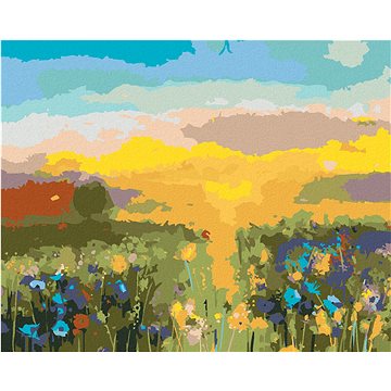 

Diamondi - BAREVNÁ ABSTRAKTNÍ LOUKA, 40x50 cm, vypnuté plátno na rám