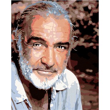 

Diamondi - SEAN CONNERY, 40x50 cm, vypnuté plátno na rám