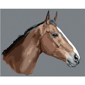 

Diamondi - HNĚDÝ KŮŇ NA ŠEDÉM POZADÍ, 40x50 cm, bez rámu a bez vypnutí plátna