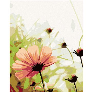 

Diamondi - ROZKVĚTLÁ KVĚTINA NA LOUCE, 40x50 cm, bez rámu a bez vypnutí plátna