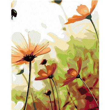 

Diamondi - KVĚTINOVÁ LOUKA, 40x50 cm, bez rámu a bez vypnutí plátna