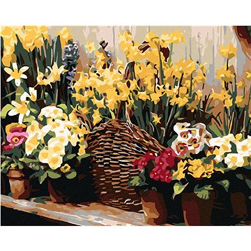 

Diamondi - SPOUSTA KVĚTIN, 40x50 cm, bez rámu a bez vypnutí plátna