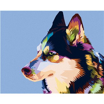 

Diamondi - BAREVNÝ HUSKY, 40x50 cm, bez rámu a bez vypnutí plátna