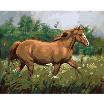 

Diamondi - HNĚDÝ KŮŇ NA PASTVĚ U LESA, 40x50 cm, bez rámu a bez vypnutí plátna