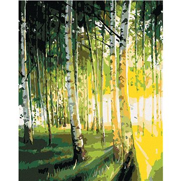 

Diamondi - BŘÍZY V PROSVĚTLENÉM LESE, 40x50 cm, vypnuté plátno na rám