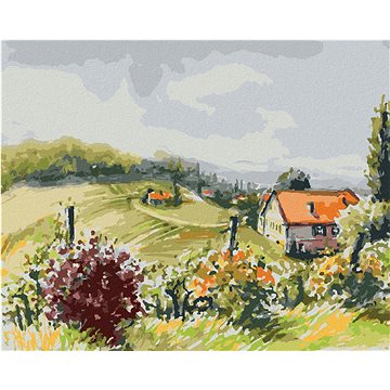 

Diamondi - KRAJINA S VINICEMI, 40x50 cm, bez rámu a bez vypnutí plátna